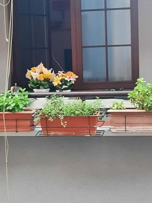 N&Ghomesweethome Raffaelloelegante Appartamento Ideale Casa Vacanze Affari Mediolan Zewnętrze zdjęcie